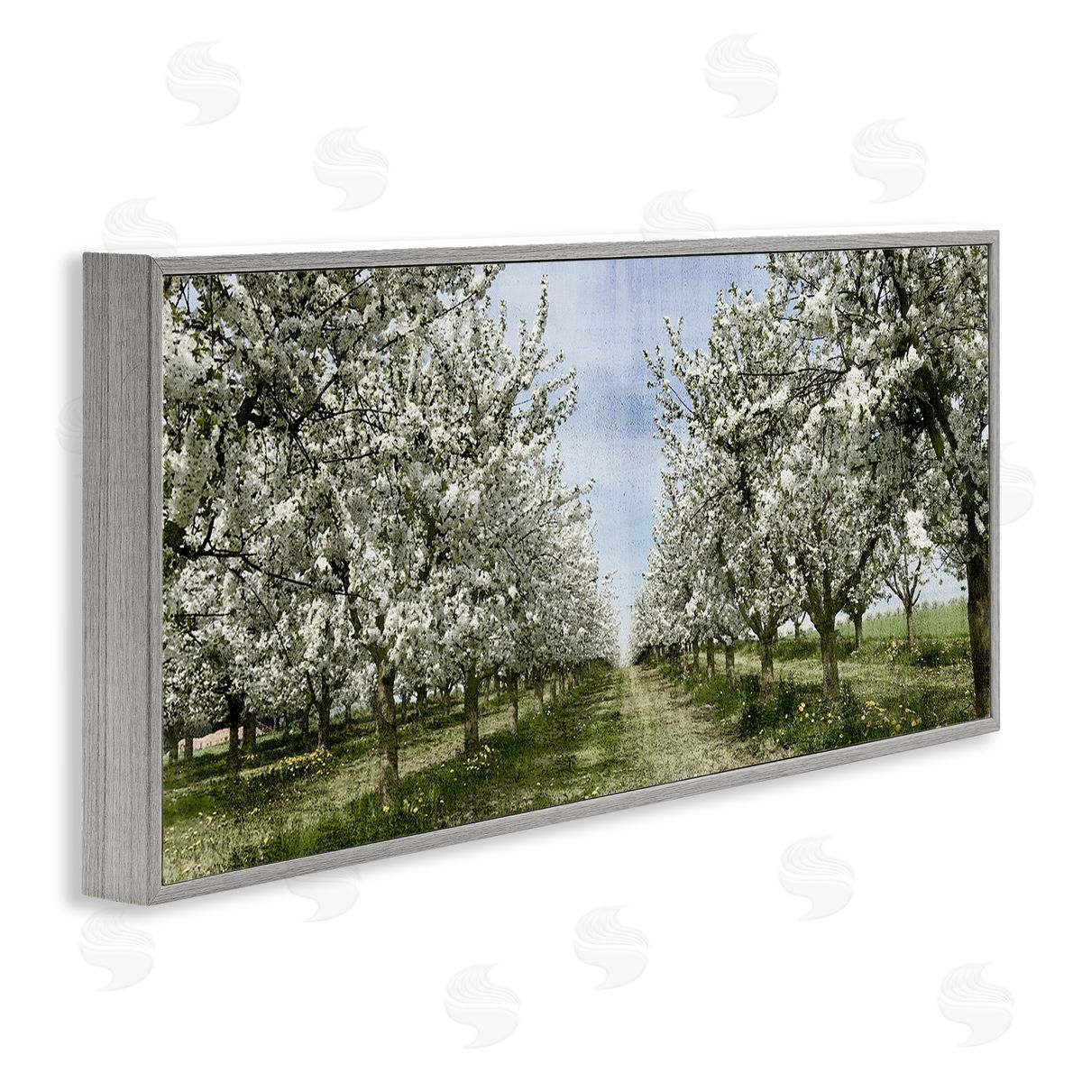 Blooming White Tree Orchard Grey Frame Print Wall Art, Home Decor by Kim Allen