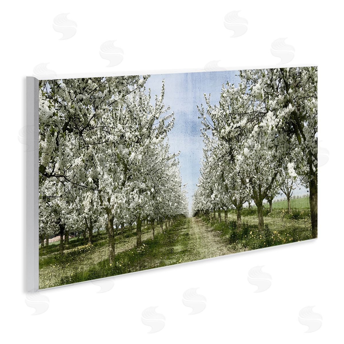 Blooming White Tree Orchard Wood Plaque Wall Art, Home Decor by Kim Allen
