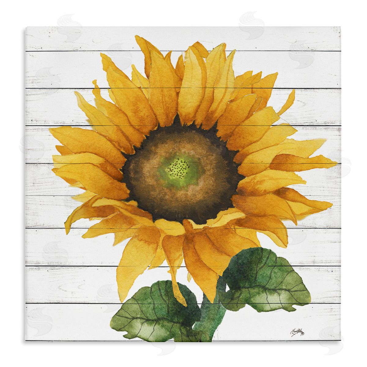 Elizabeth Medley Yellow Sunflower Blossom Bold Petals Rustic Design Stretched Canvas Wall Art Print