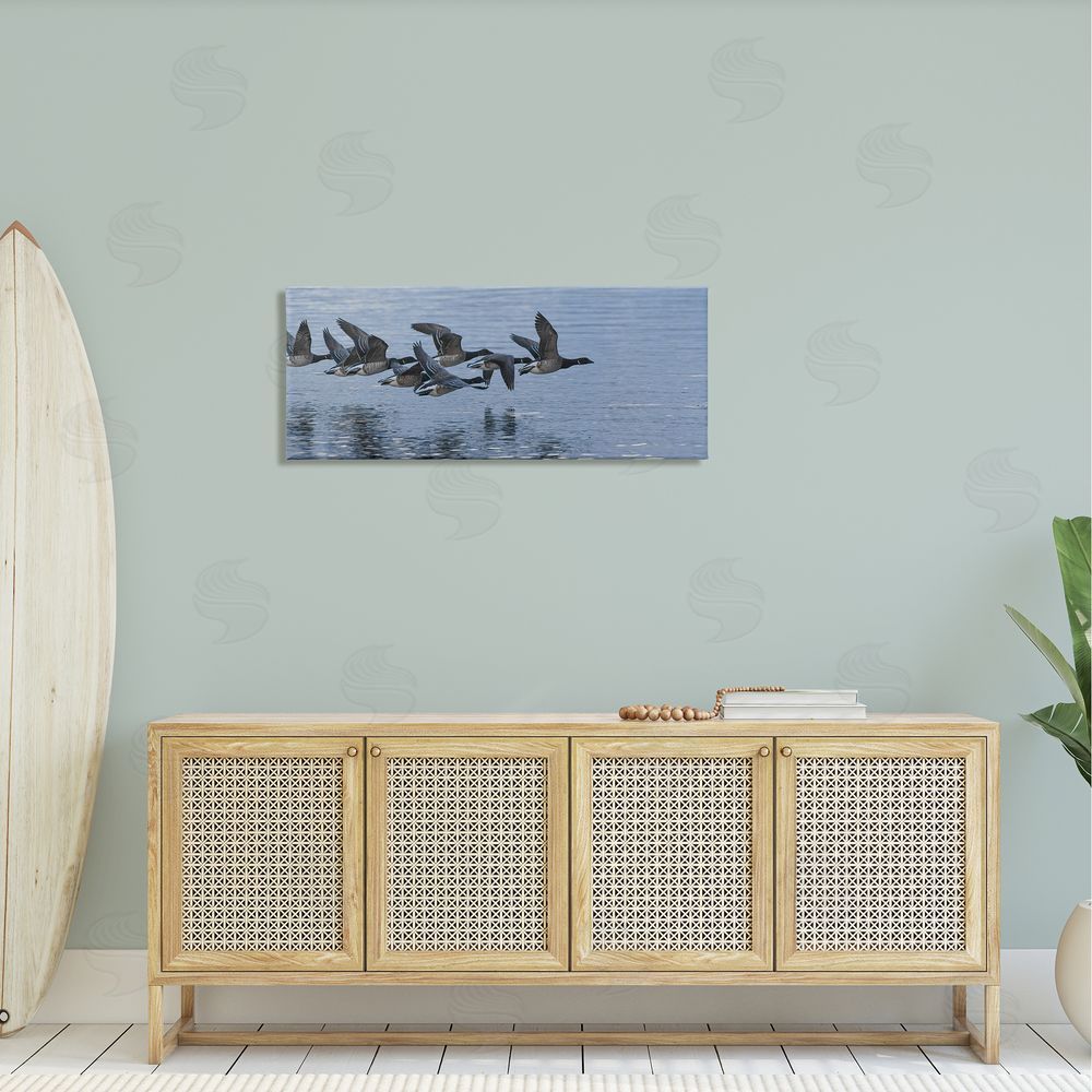 Nancy Crowell Flying Geese Wings Flapping Calm Ocean Water 