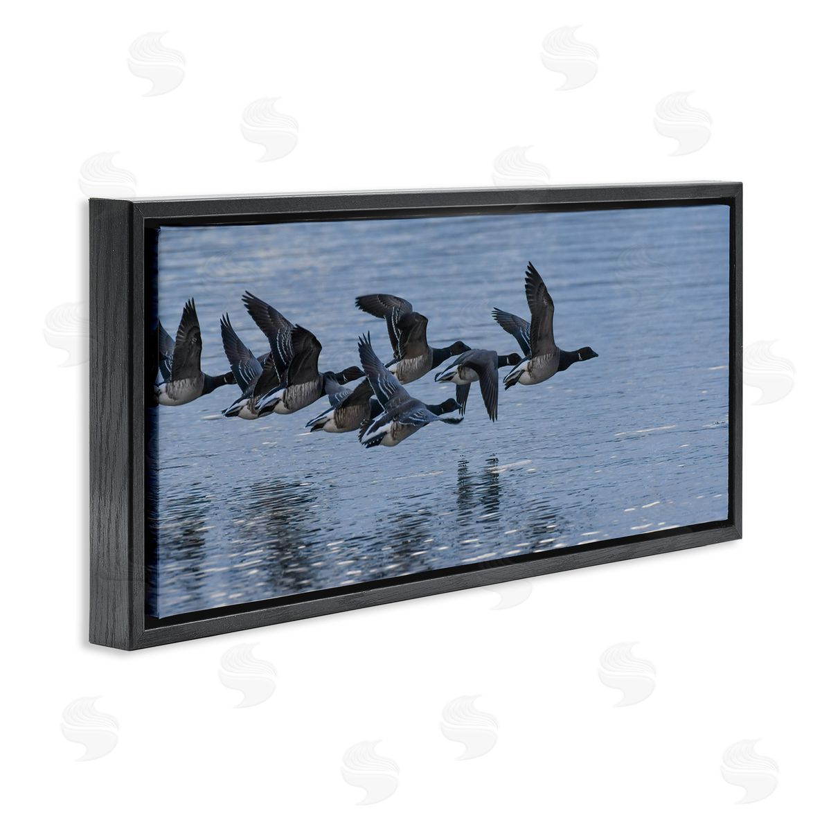 Nancy Crowell Flying Geese Wings Flapping Calm Ocean Water 