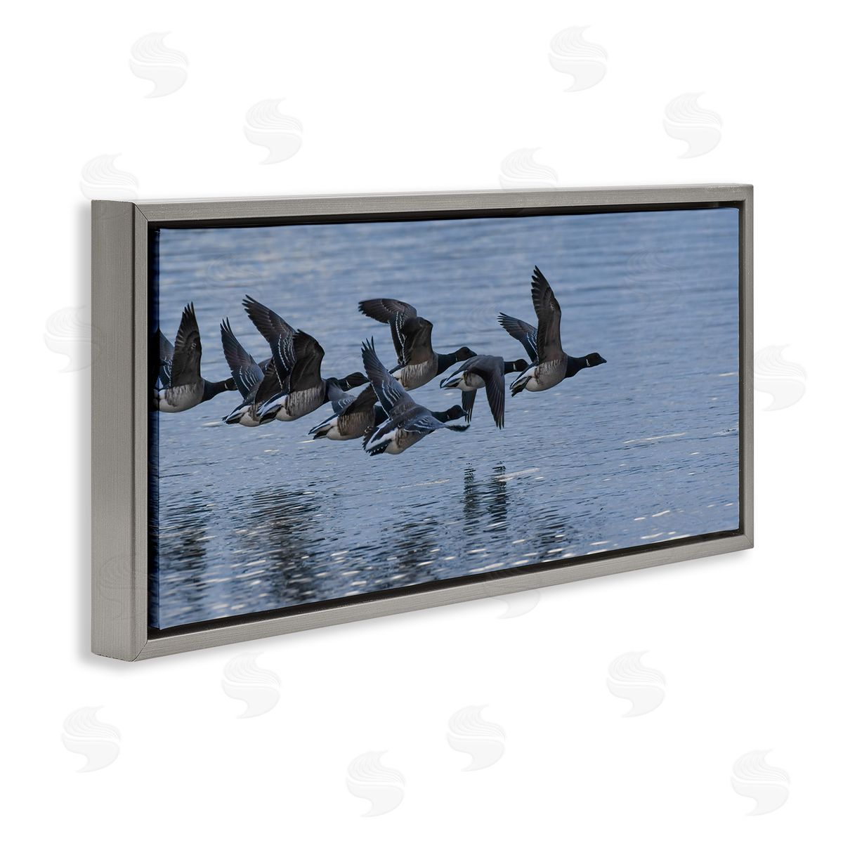 Nancy Crowell Flying Geese Wings Flapping Calm Ocean Water 