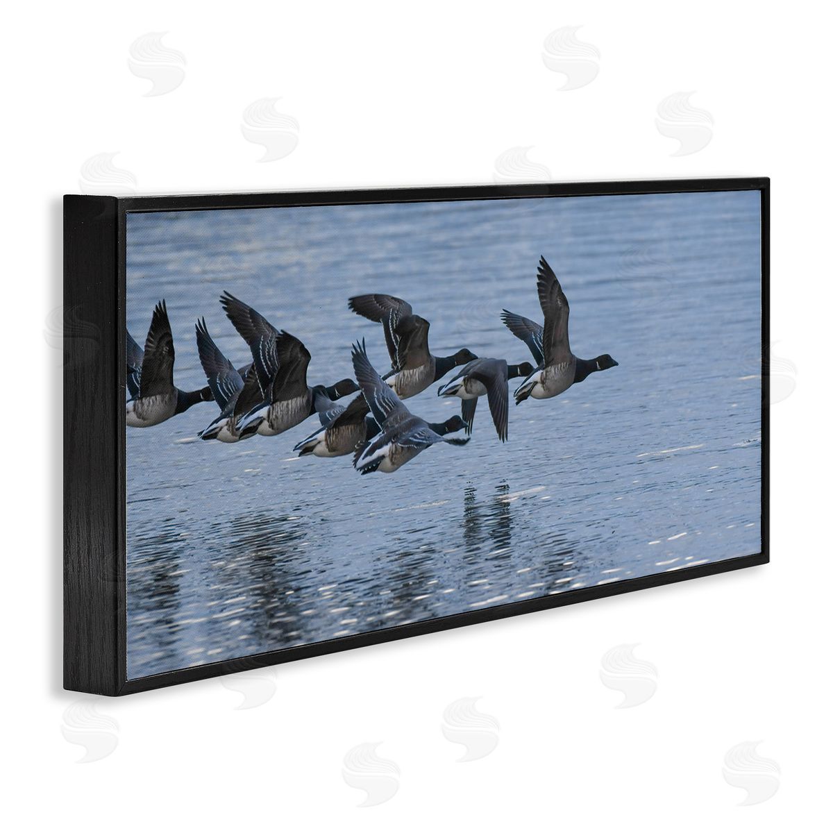 Nancy Crowell Flying Geese Wings Flapping Calm Ocean Water 