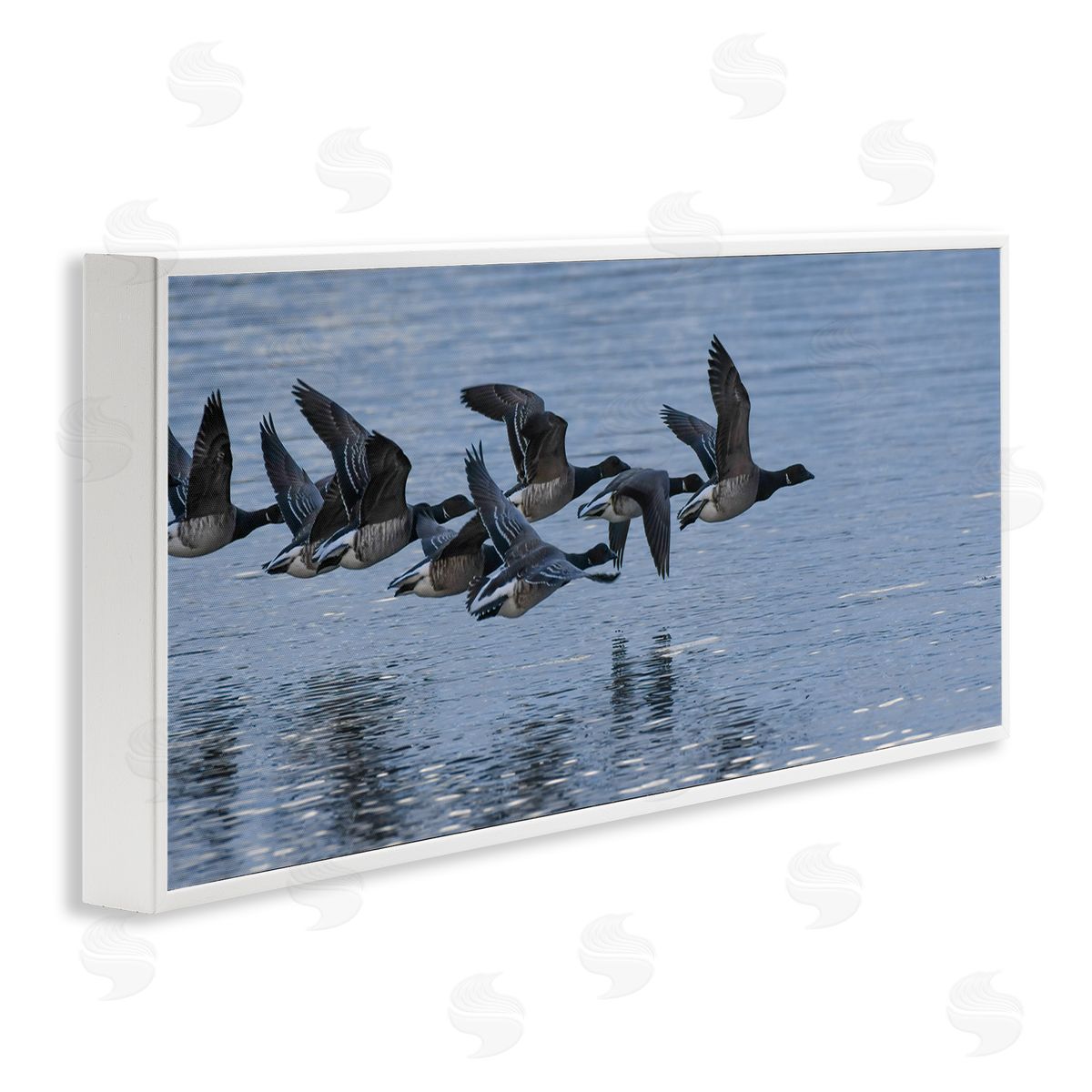 Nancy Crowell Flying Geese Wings Flapping Calm Ocean Water 