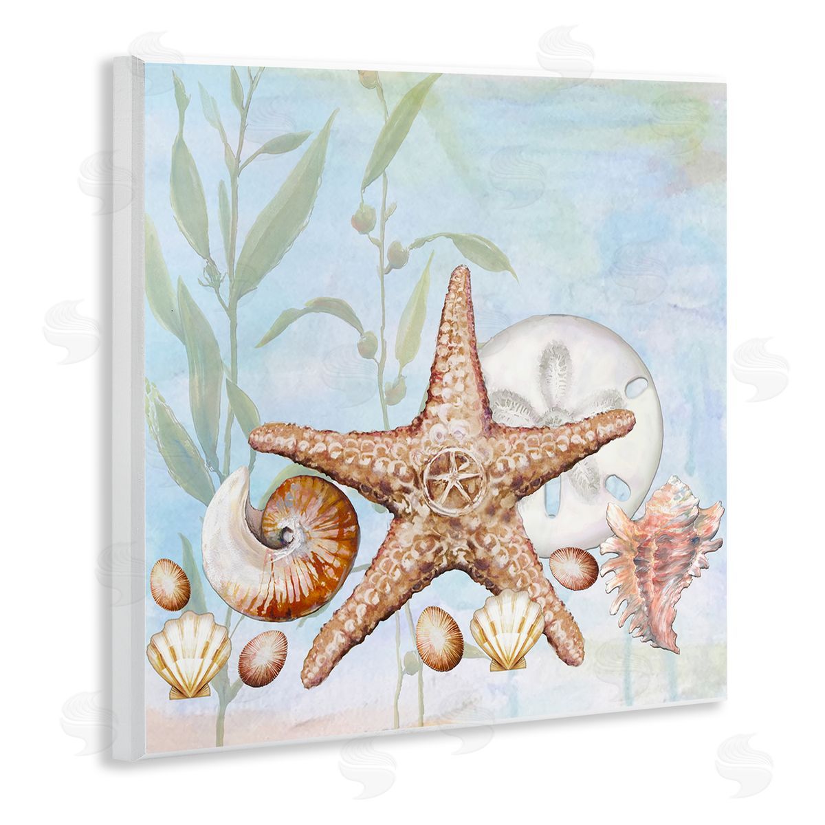 Diannart Starfish Seashells Underwater Plants Ocean Beach Painting  Wooden Wall Plaque Art Print