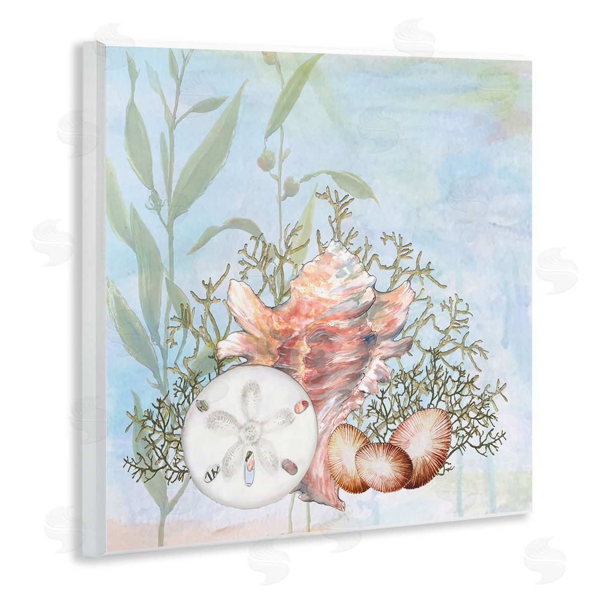 Diannart Sea Life Coral Seashells Botanicals Underwater Ocean Wooden Wall Plaque Art Print