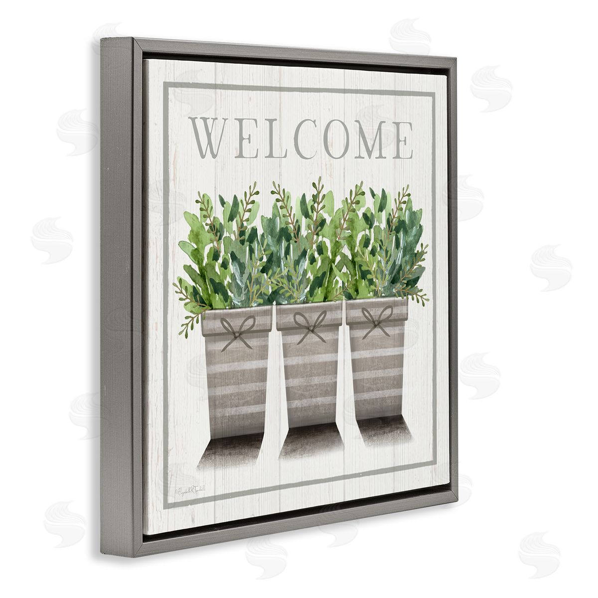 Elizabeth Tyndall Welcome Sign Cottage Theme Potted Plants Botanicals Gray Floating Frame Canvas Wall Art Print