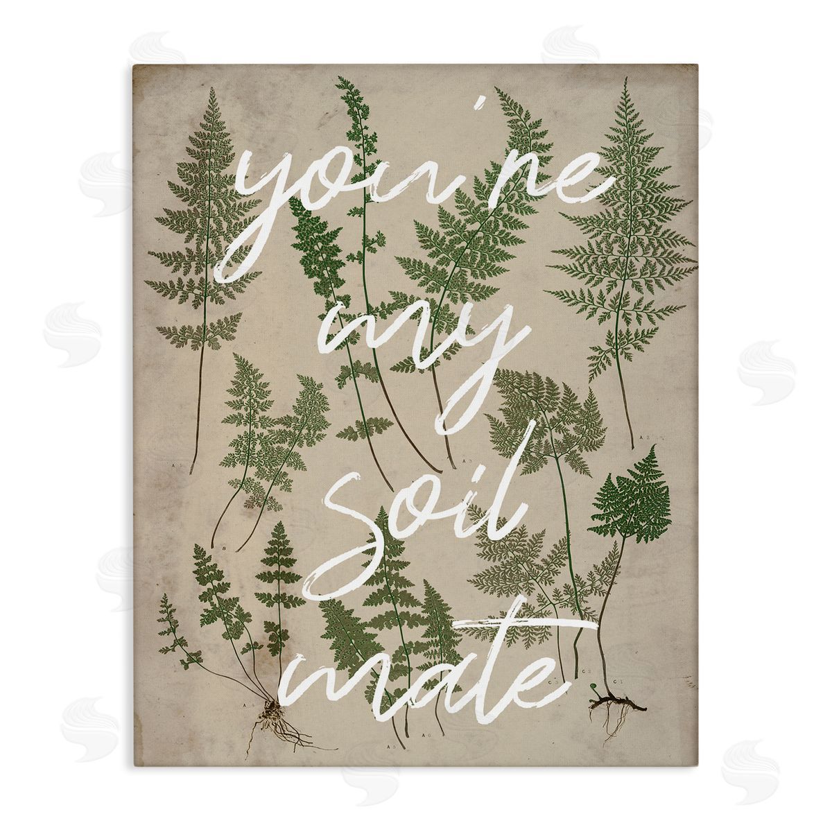 Stupell Studio You're My Soil Mate Rustic Fern Calligraphy  Stretched Canvas Wall Art Print