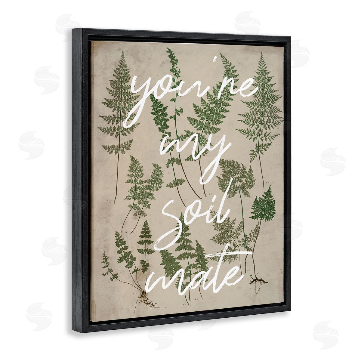 Stupell Studio You're My Soil Mate Rustic Fern Calligraphy  Black Floating Frame Canvas Wall Art Print