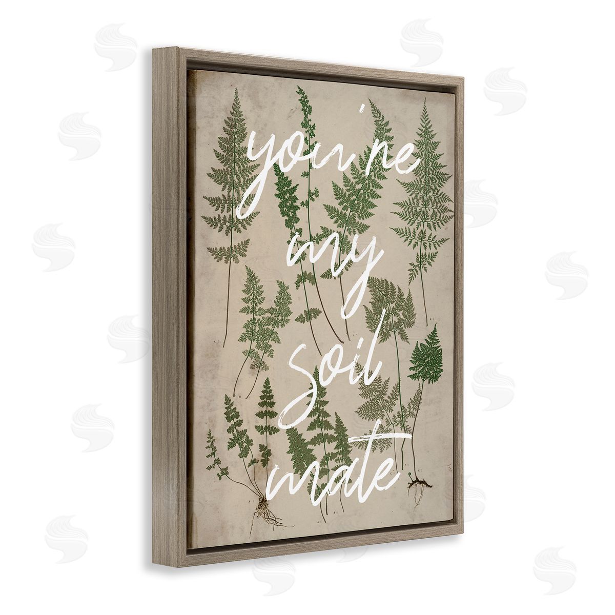 Stupell Studio You're My Soil Mate Rustic Fern Calligraphy  Brown Floating Frame Canvas Wall Art Print