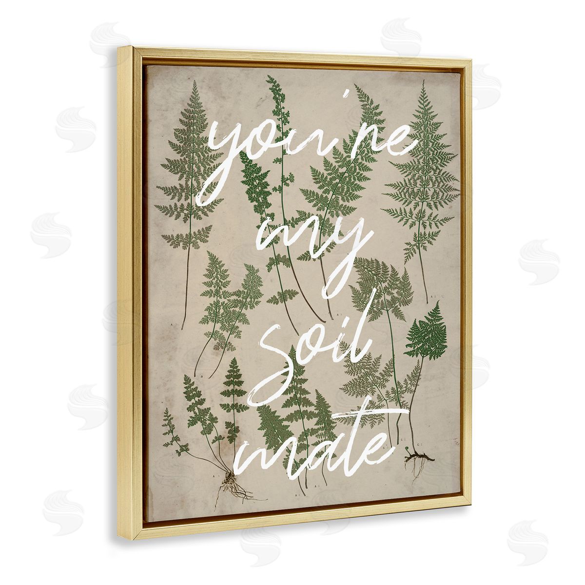 Stupell Studio You're My Soil Mate Rustic Fern Calligraphy  Gold Floating Frame Canvas Wall Art Print