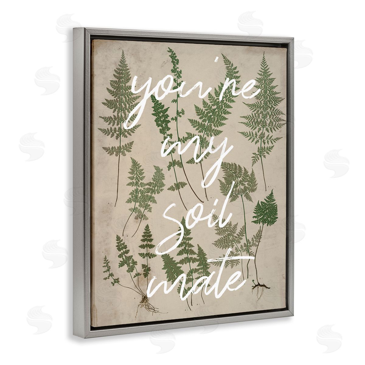 Stupell Studio You're My Soil Mate Rustic Fern Calligraphy  Gray Floating Frame Canvas Wall Art Print