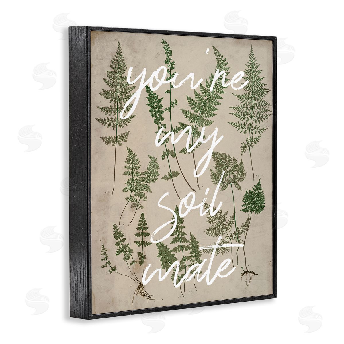 Stupell Studio You're My Soil Mate Rustic Fern Calligraphy  Black Framed Giclee Wall Art Print