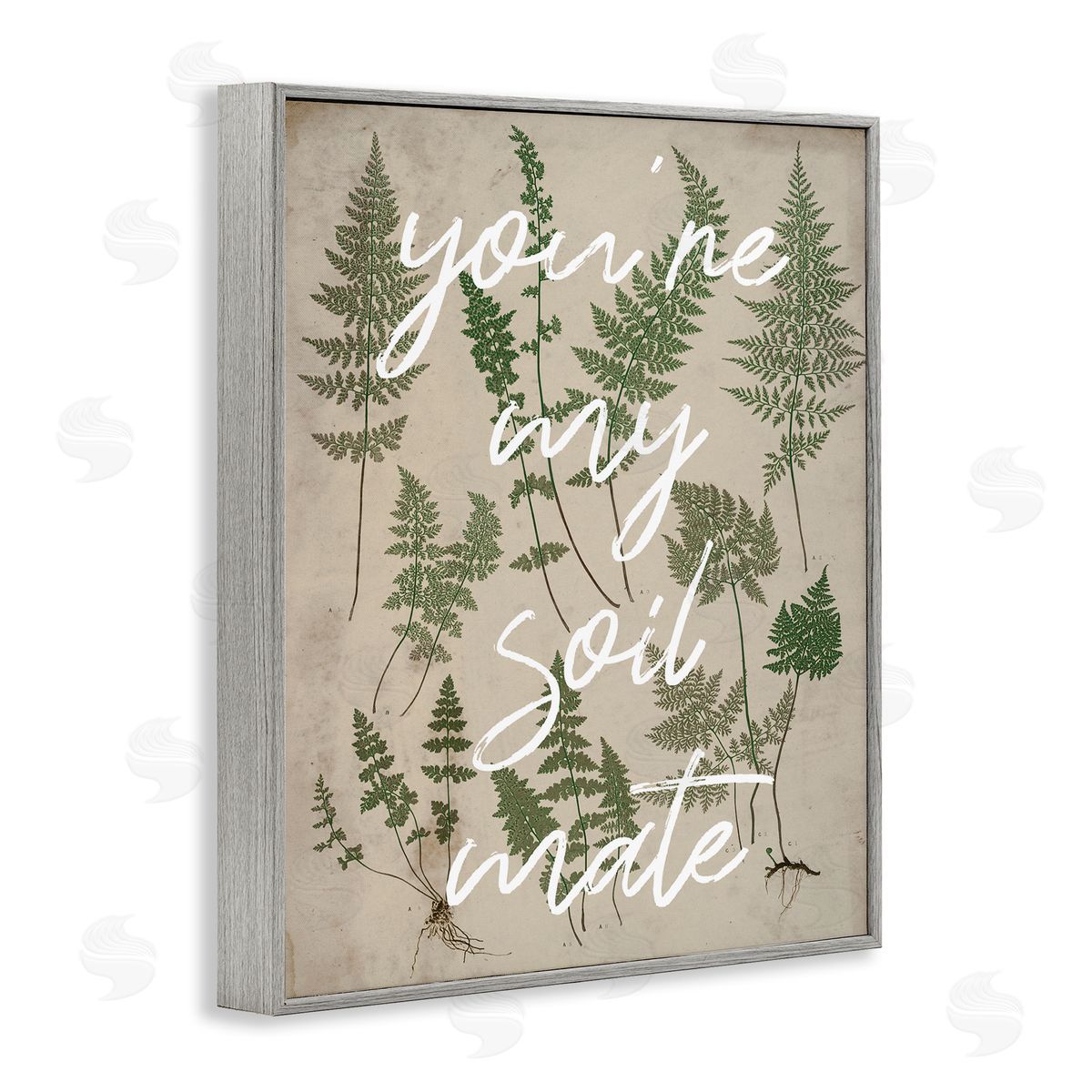Stupell Studio You're My Soil Mate Rustic Fern Calligraphy  Gray Framed Giclee Wall Art Print