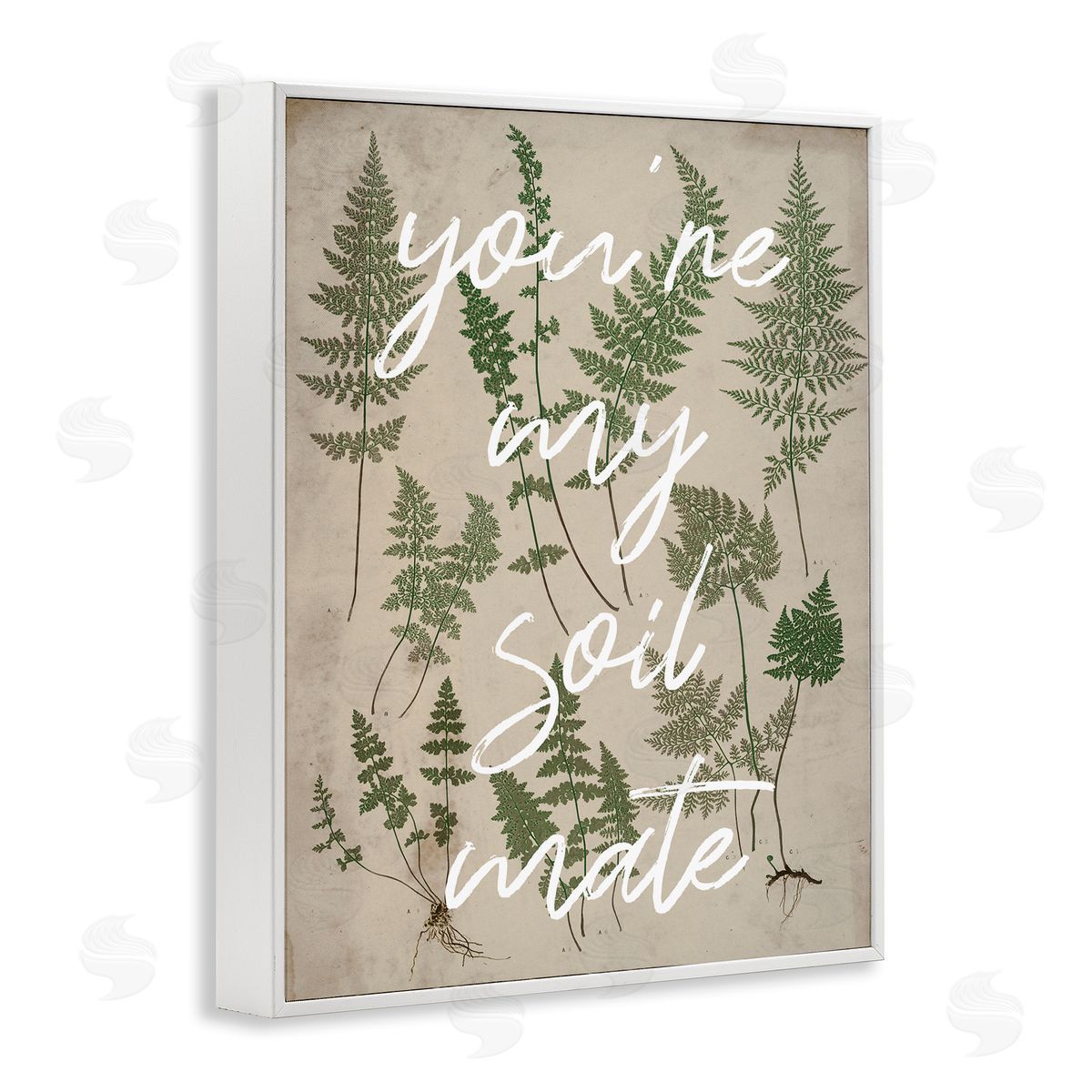 Stupell Studio You're My Soil Mate Rustic Fern Calligraphy  White Framed Giclee Wall Art Print