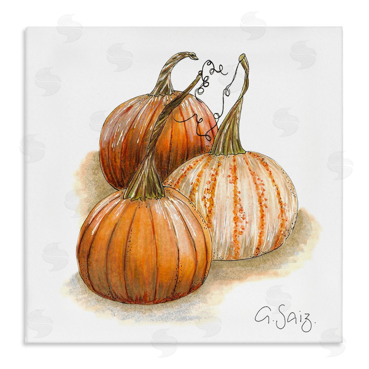 Ale Saiz Studio Detailed Autumn Pumpkins Gourds Still Life Illustration Stretched Canvas Wall Art Print