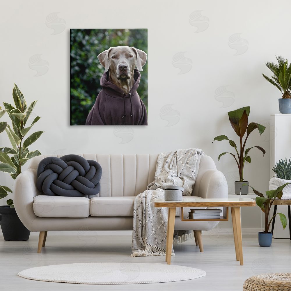 Michael Brian Labrador Dog Wearing Sweatshirt Hoodie Detailed Photography Canvas Wall Art Print in Room