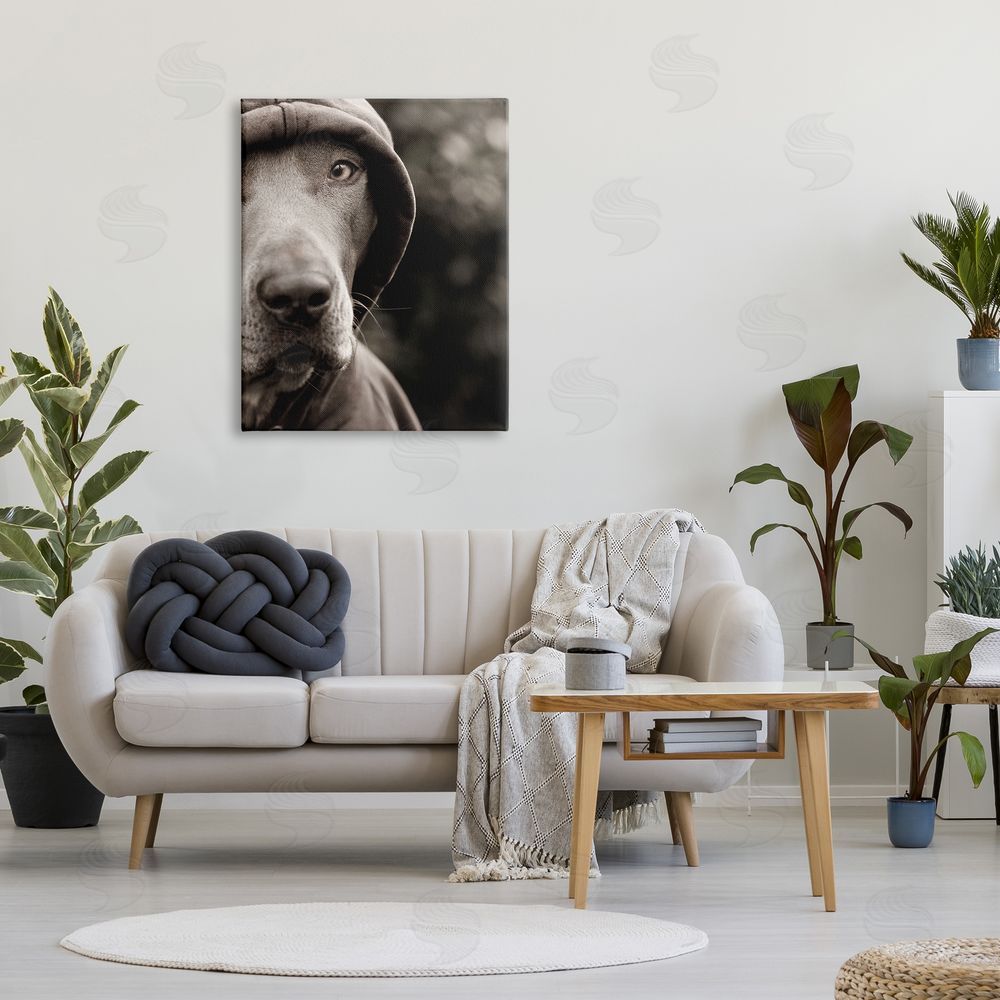 Michael Brian Dog Wearing Hooded Sweater Close-Up Monochrome Photography  Canvas Wall Art Print in Room