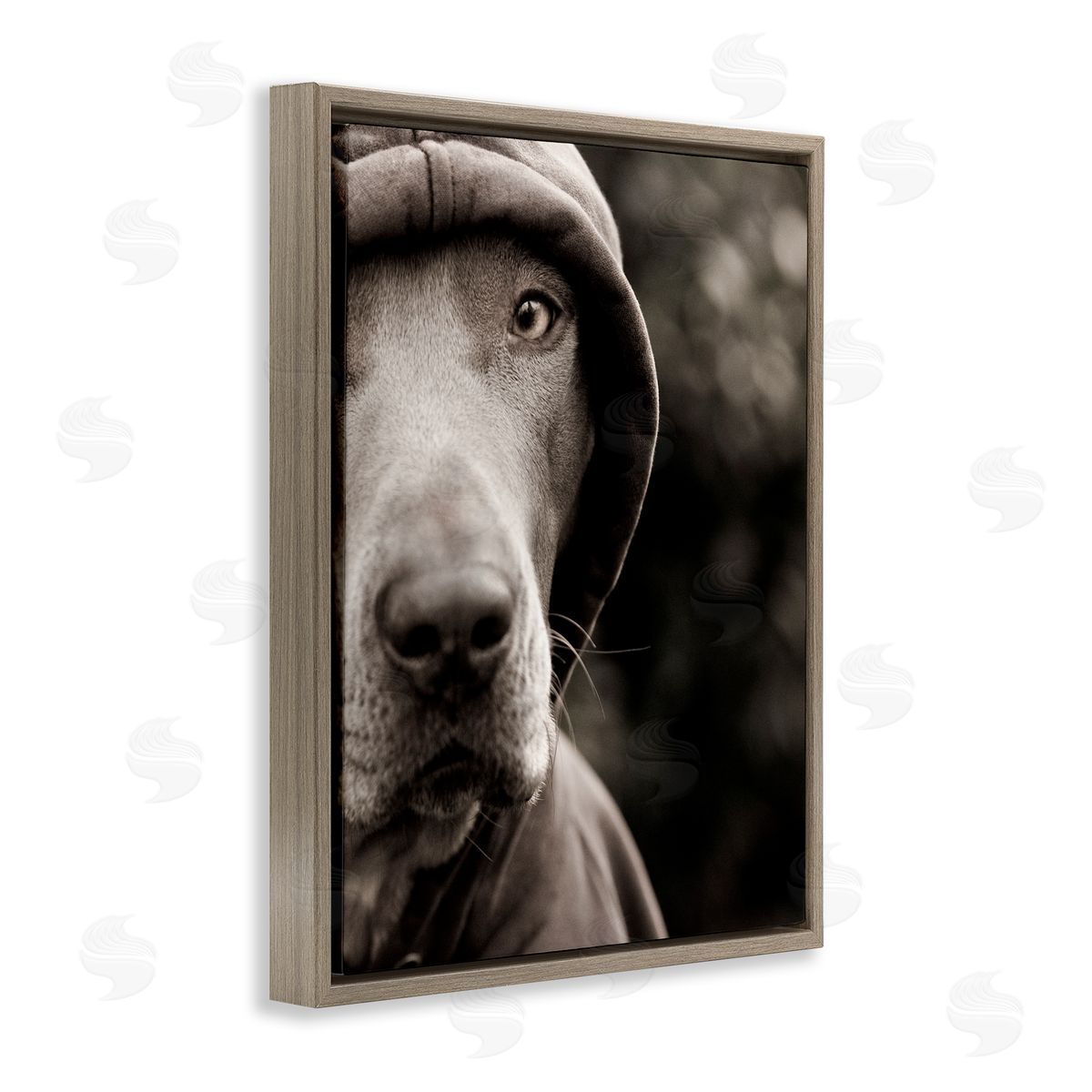 Michael Brian Dog Wearing Hooded Sweater Close-Up Monochrome Photography  Brown Floating Frame Canvas Wall Art Print