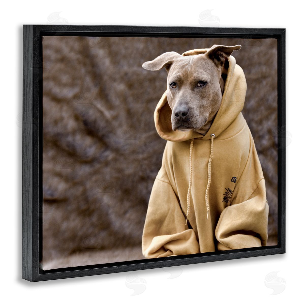 Michael Brian Beautiful Dog Wearing Cozy Yellow Hoodie Photography Black Floating Frame Canvas Wall Art Print
