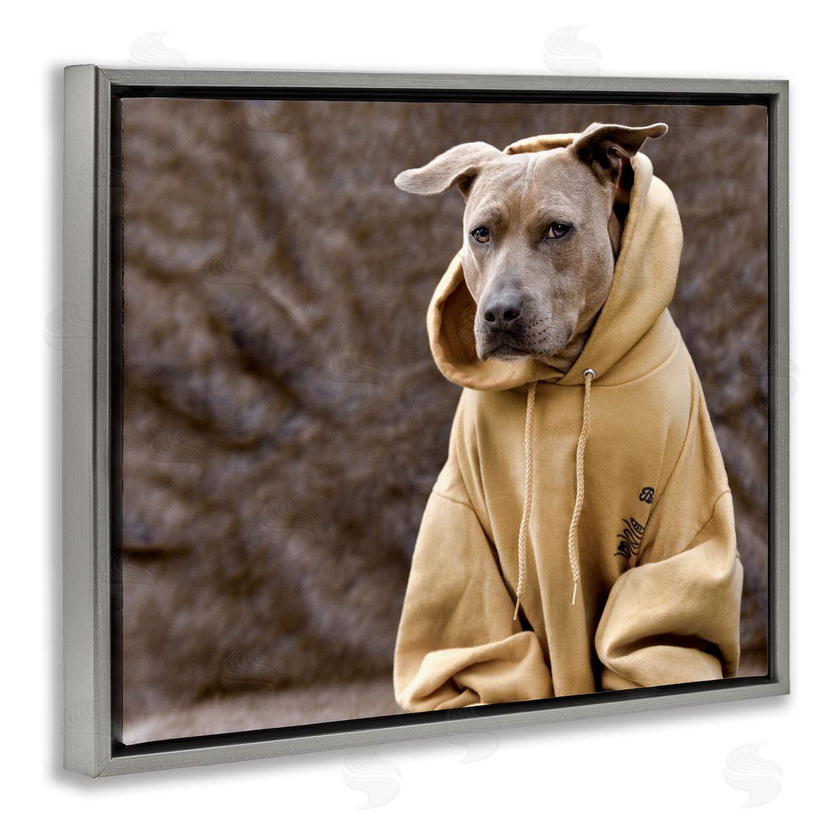 Michael Brian Beautiful Dog Wearing Cozy Yellow Hoodie Photography Gray Floating Frame Canvas Wall Art Print