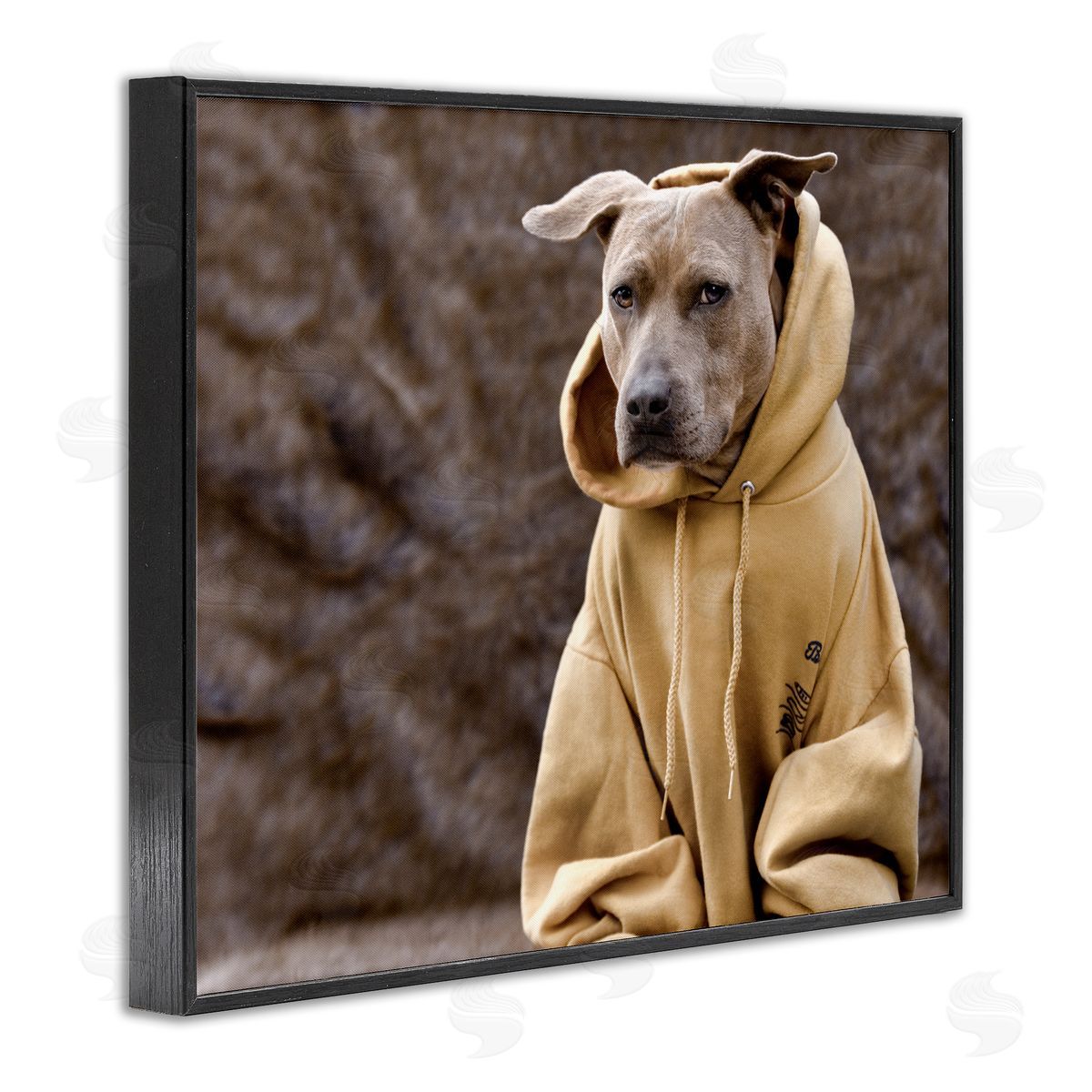Michael Brian Beautiful Dog Wearing Cozy Yellow Hoodie Photography Black Framed Giclee Wall Art Print