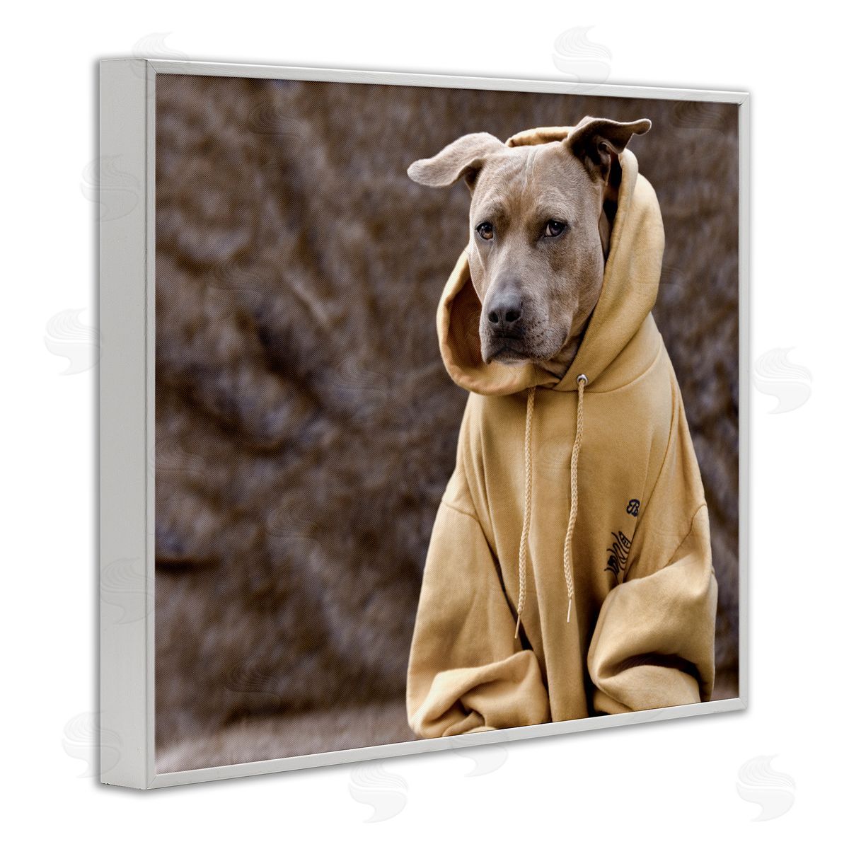 Michael Brian Beautiful Dog Wearing Cozy Yellow Hoodie Photography White Framed Giclee Wall Art Print
