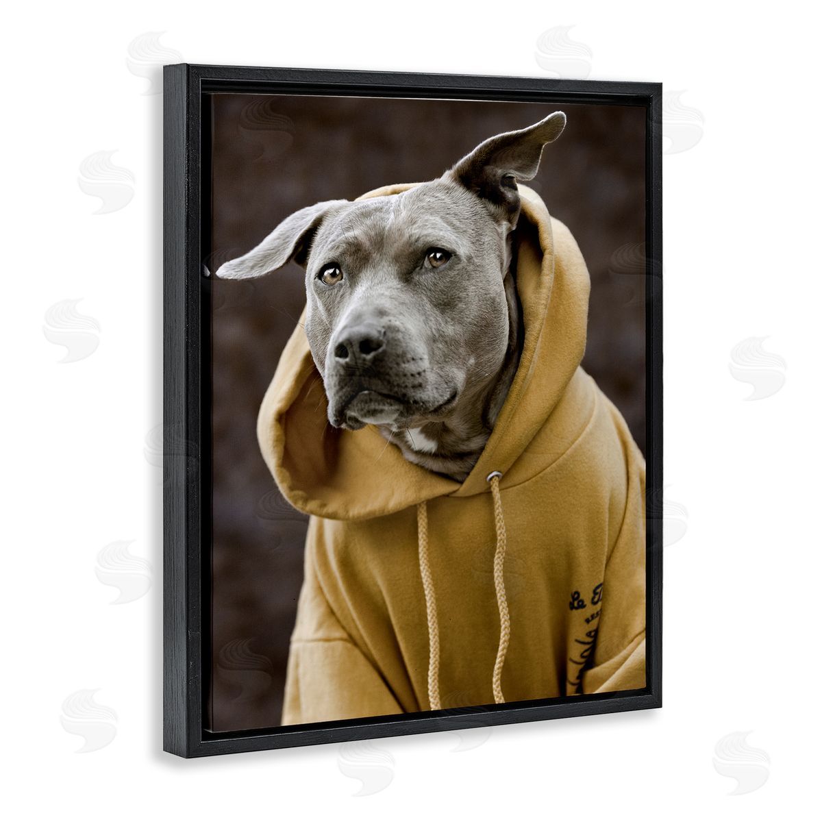 Michael Brian Smiling Labrador Dog Wearing Hooded Yellow Sweatshirt  Black Floating Frame Canvas Wall Art Print