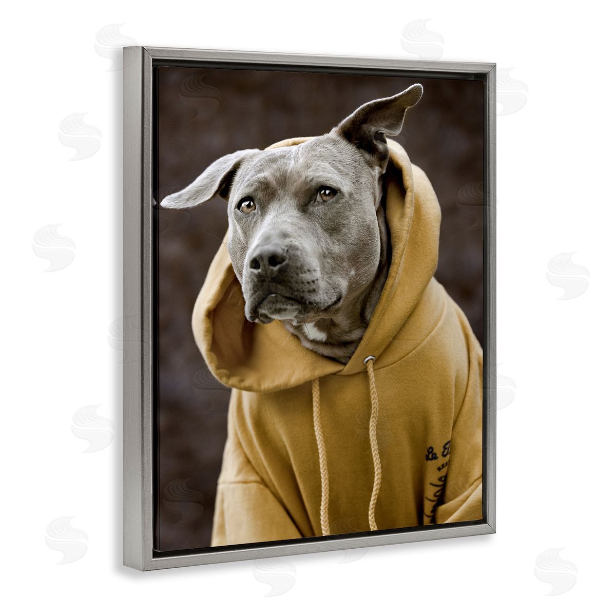 Michael Brian Smiling Labrador Dog Wearing Hooded Yellow Sweatshirt  Gray Floating Frame Canvas Wall Art Print