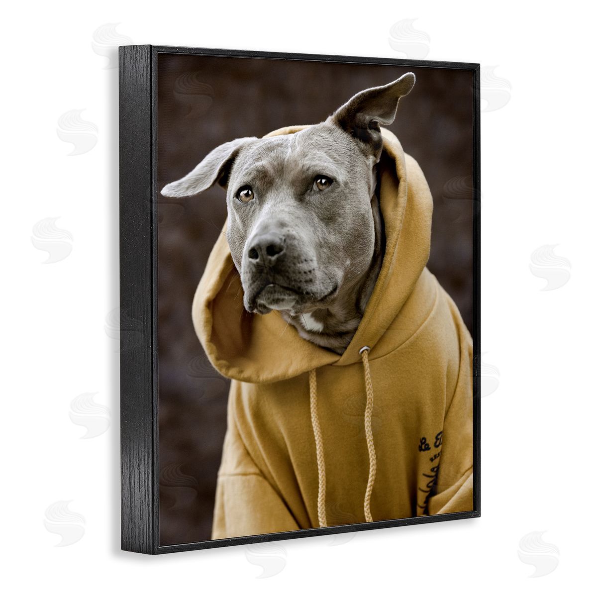 Michael Brian Smiling Labrador Dog Wearing Hooded Yellow Sweatshirt  Black Framed Giclee Wall Art Print