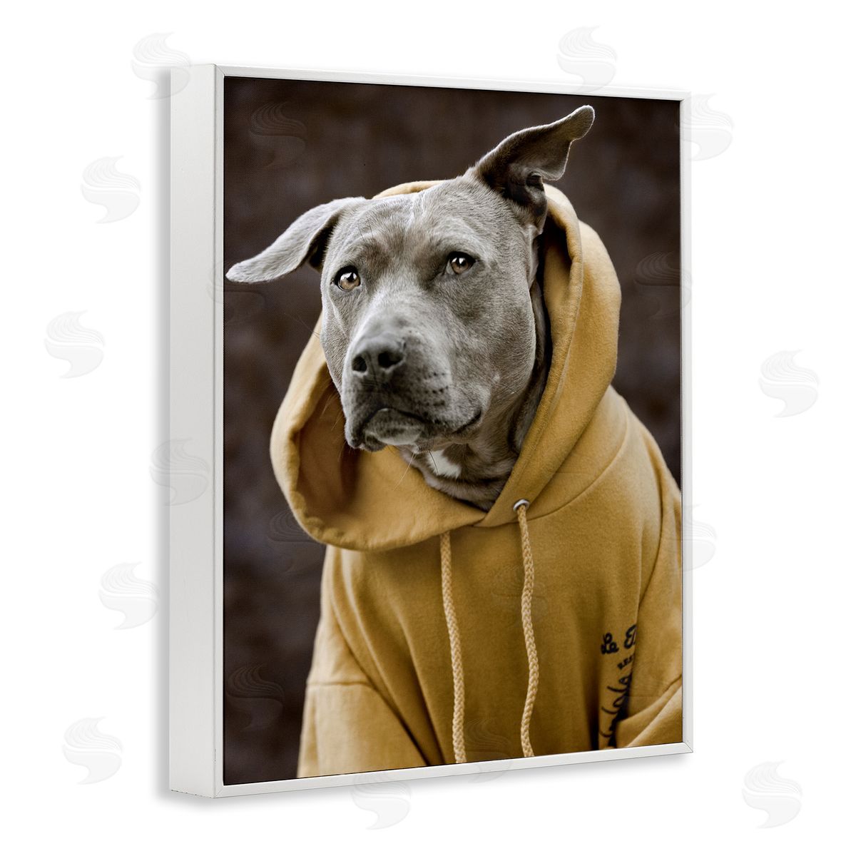 Michael Brian Smiling Labrador Dog Wearing Hooded Yellow Sweatshirt  White Framed Giclee Wall Art Print