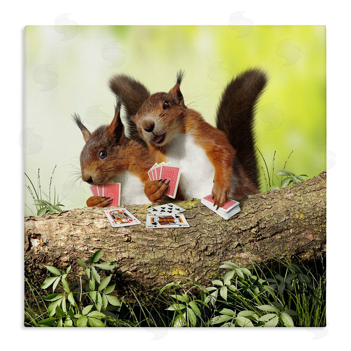Chiara Silly Squirrels Playing Card Games Tree Branch Stretched Canvas Wall Art Print