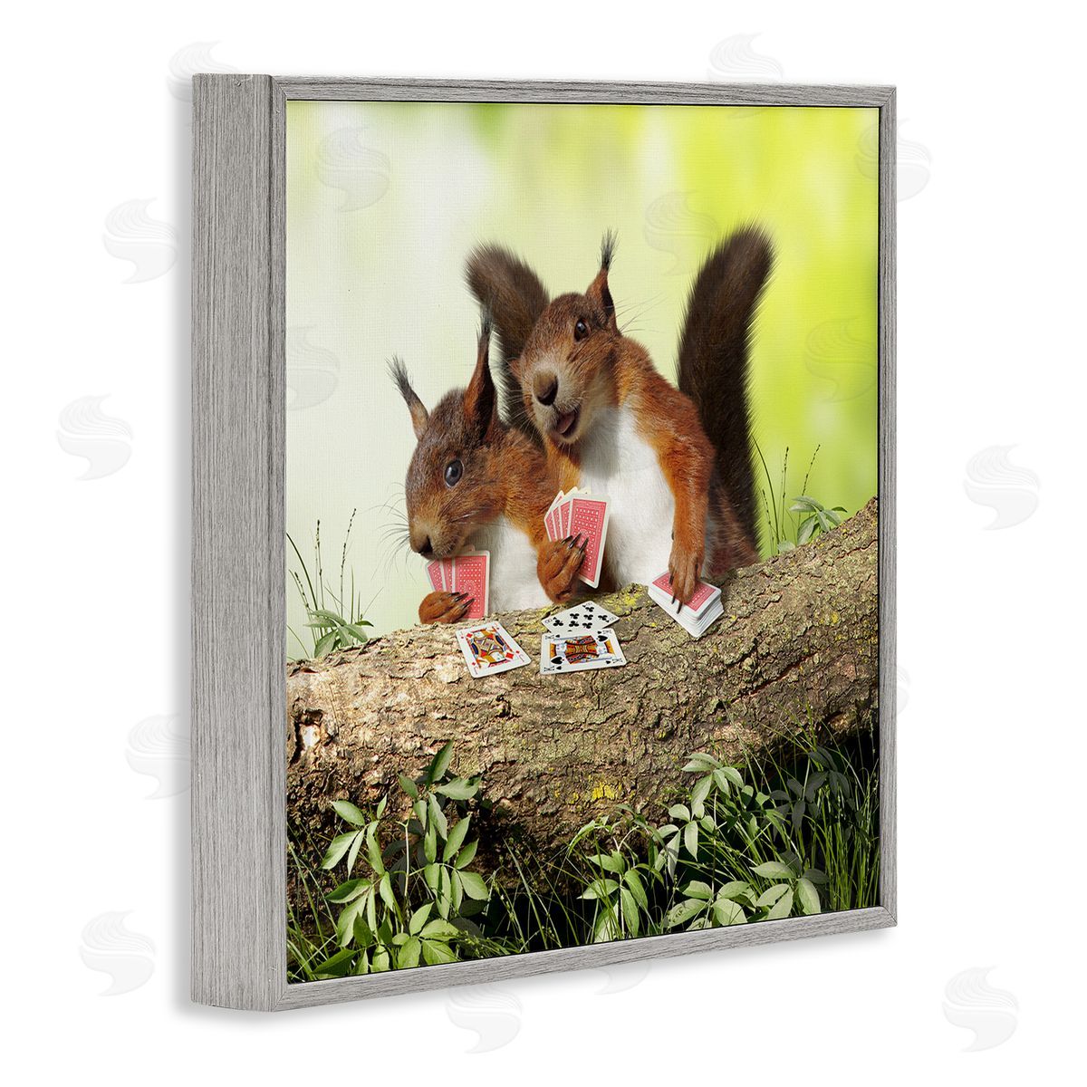 Chiara Silly Squirrels Playing Card Games Tree Branch Gray Framed Glicee Wall Art Print