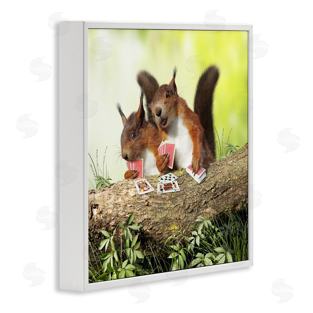 Chiara Silly Squirrels Playing Card Games Tree Branch White Framed Glicee Wall Art Print