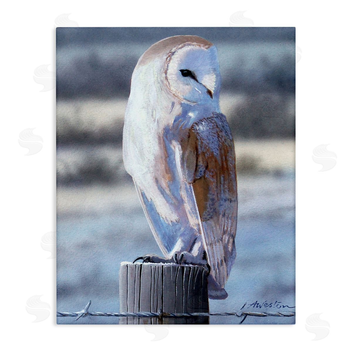 Alan Weston Serene Barn Owl Perched Snow Dusted Fence Stretched Canvas Wall Art Print