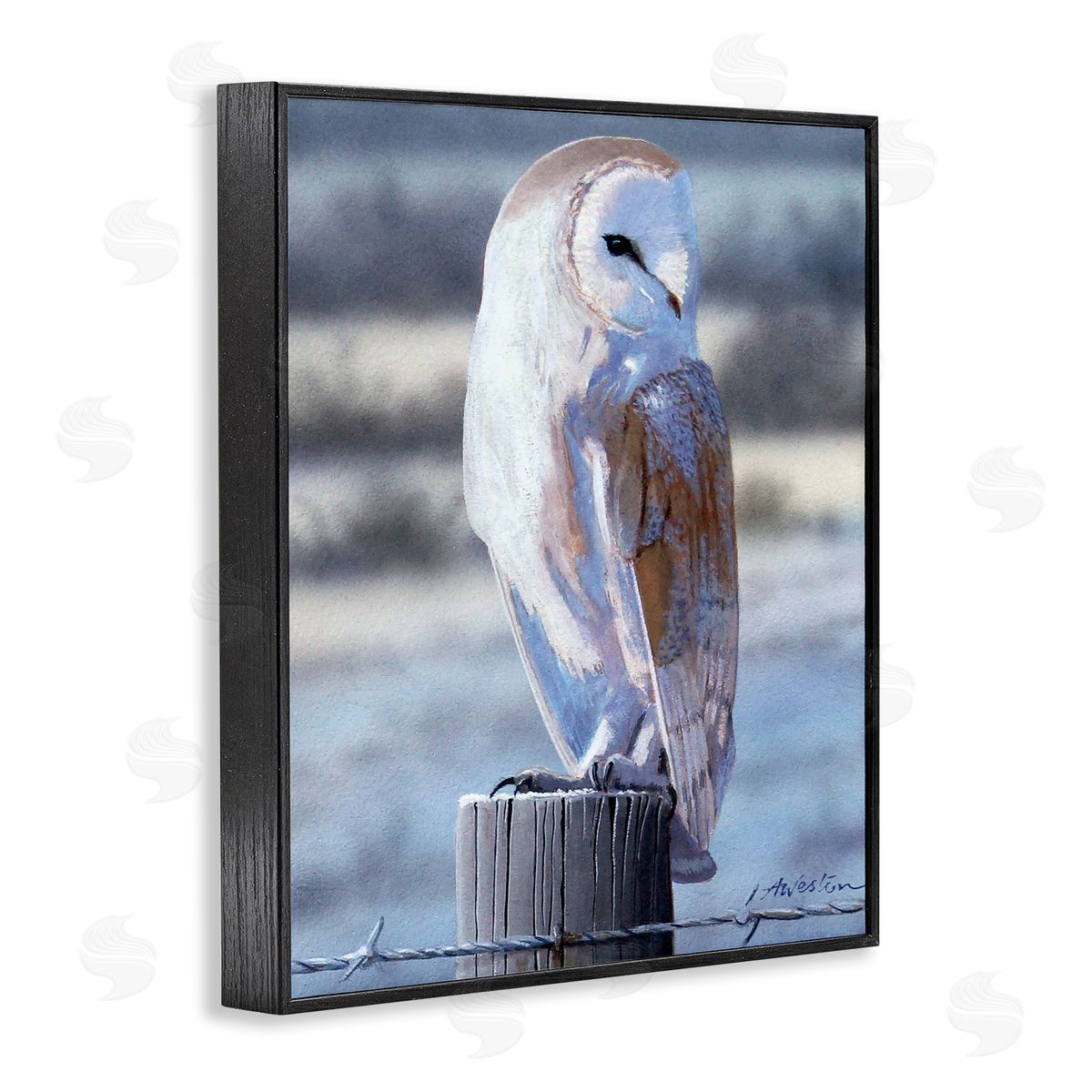 Alan Weston Serene Barn Owl Perched Snow Dusted Fence Black Framed Giclee Wall Art Print