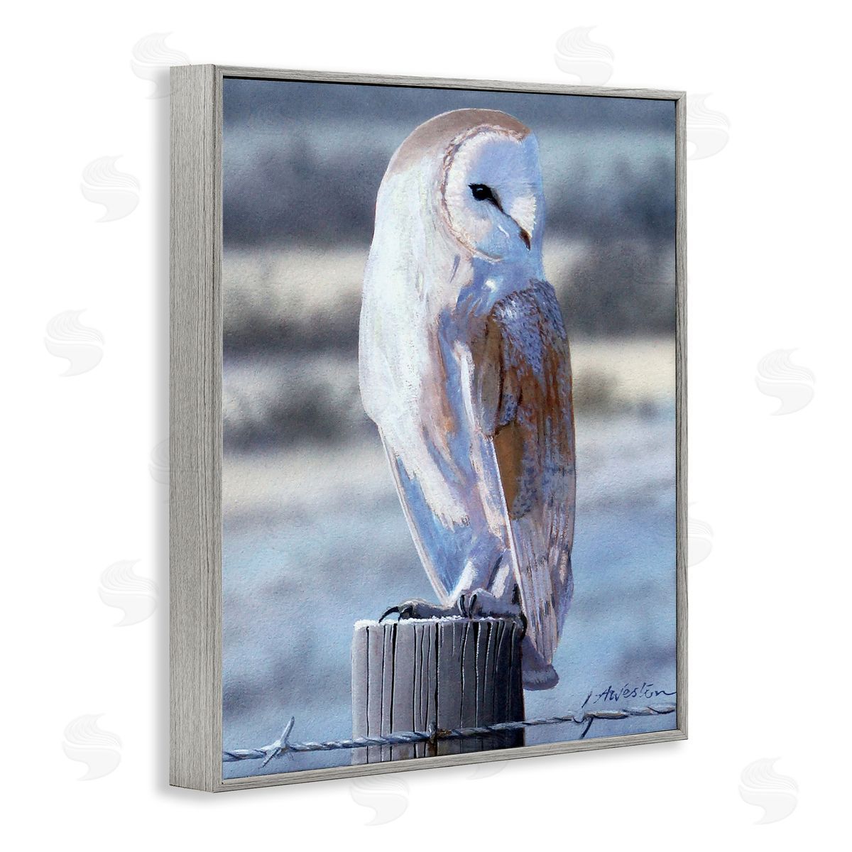 Alan Weston Serene Barn Owl Perched Snow Dusted Fence Gray Framed Giclee Wall Art Print