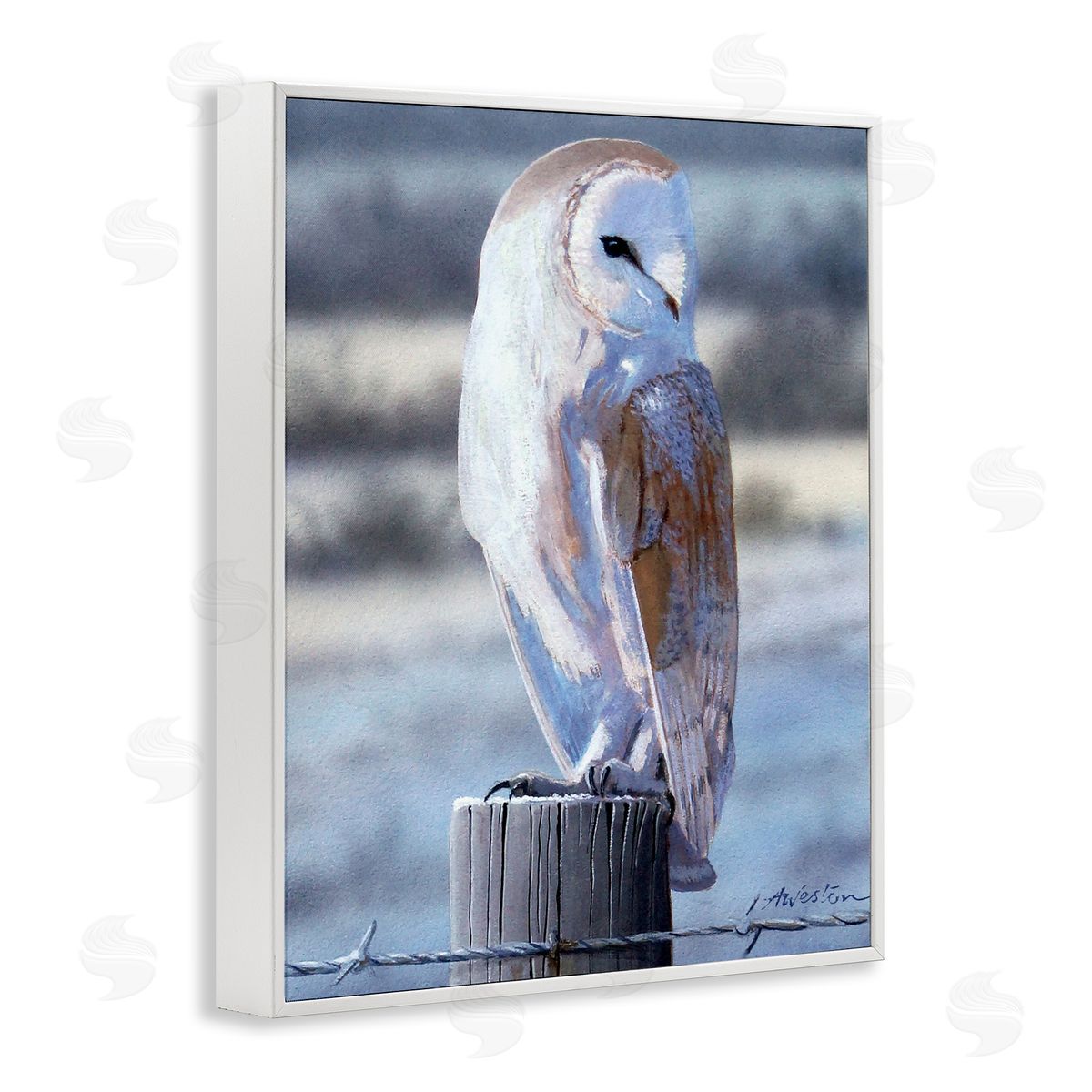 Alan Weston Serene Barn Owl Perched Snow Dusted Fence White Framed Giclee Wall Art Print