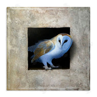 Alan Weston | Mysterious Barn Owl Peering