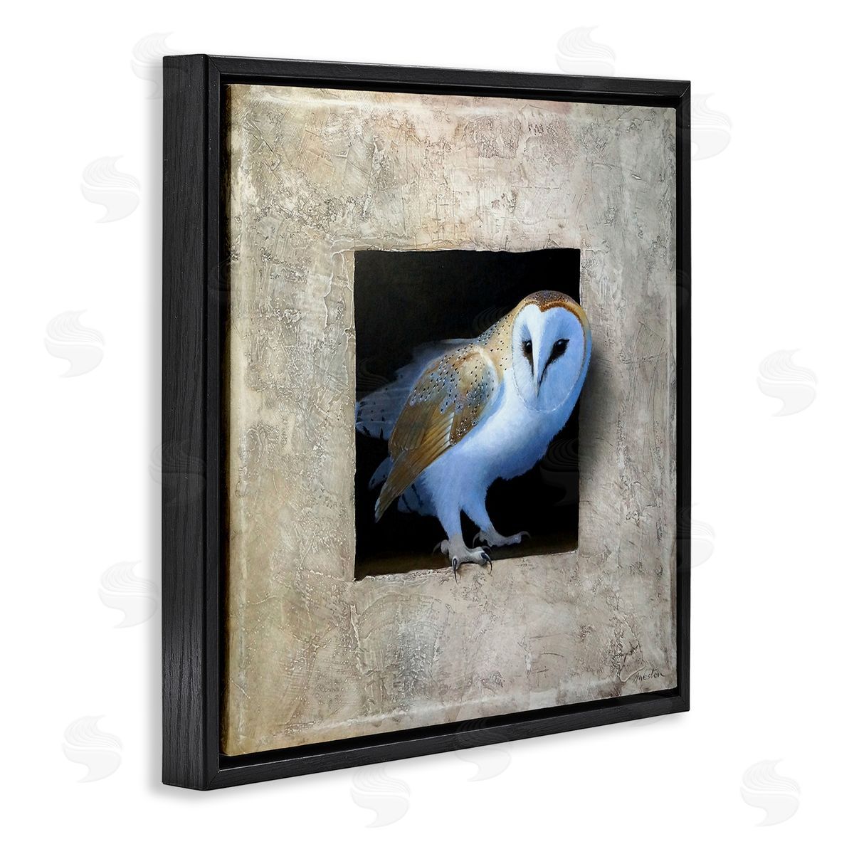 Mysterious Barn Owl Peering Black Floating Frame Canvas Wall Art, Home Decor by Alan Weston