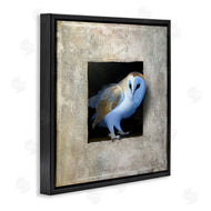 Alan Weston | Mysterious Barn Owl Peering
