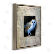 Alan Weston | Mysterious Barn Owl Peering