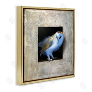 Alan Weston | Mysterious Barn Owl Peering