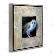 Alan Weston | Mysterious Barn Owl Peering