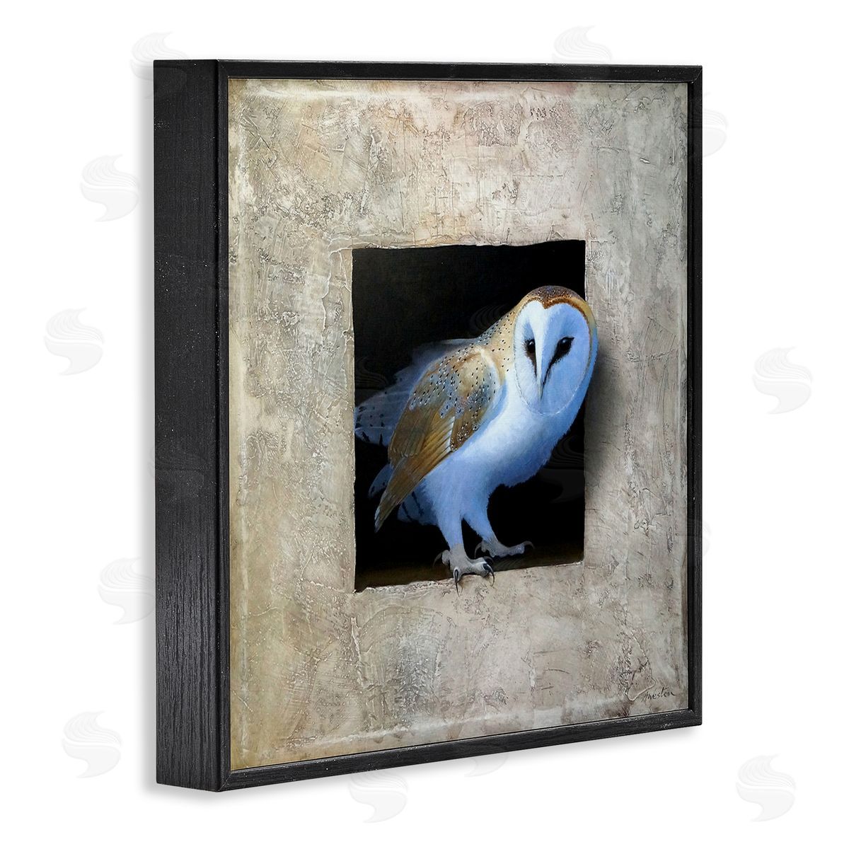 Mysterious Barn Owl Peering Black Frame Print Wall Art, Home Decor by Alan Weston