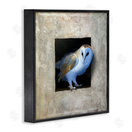Alan Weston | Mysterious Barn Owl Peering