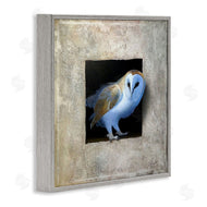 Alan Weston | Mysterious Barn Owl Peering