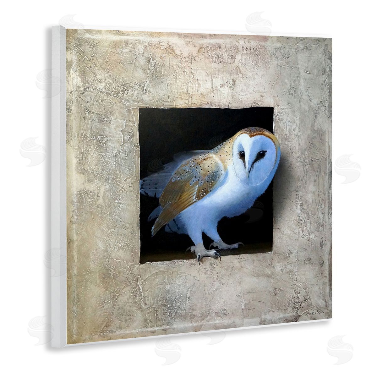 Mysterious Barn Owl Peering Wood Plaque Wall Art, Home Decor by Alan Weston