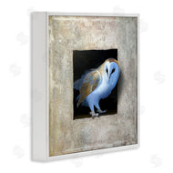 Alan Weston | Mysterious Barn Owl Peering