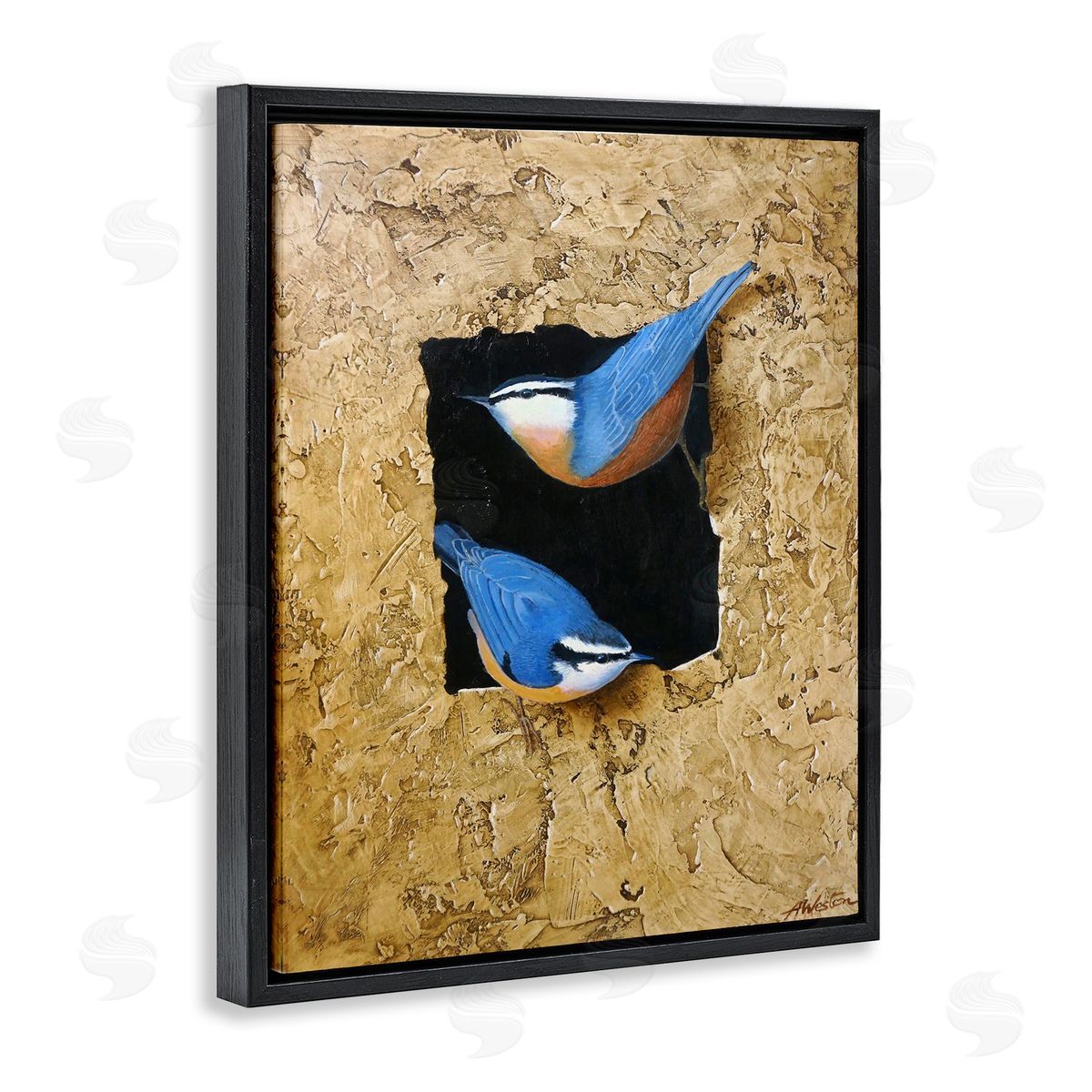 Alan Weston Blue Bird Pair Perched Rough Layered Structure Black Floating Frame Canvas Wall Art Print